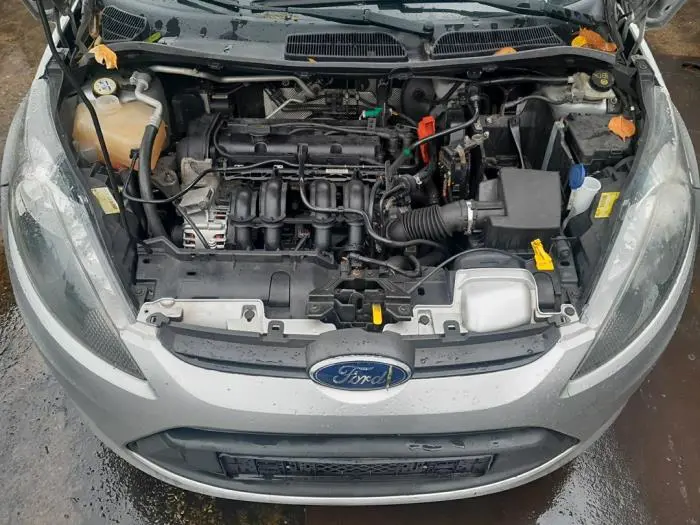Sicherungskasten Ford Fiesta