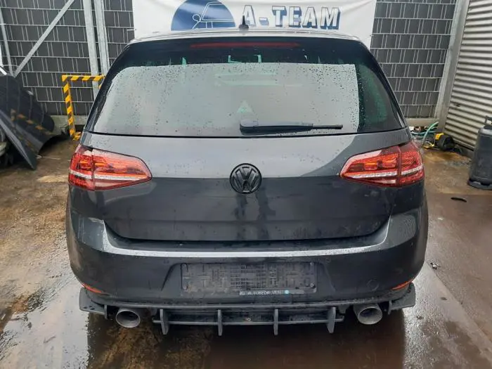 Torsionsfeder hinten Volkswagen Golf